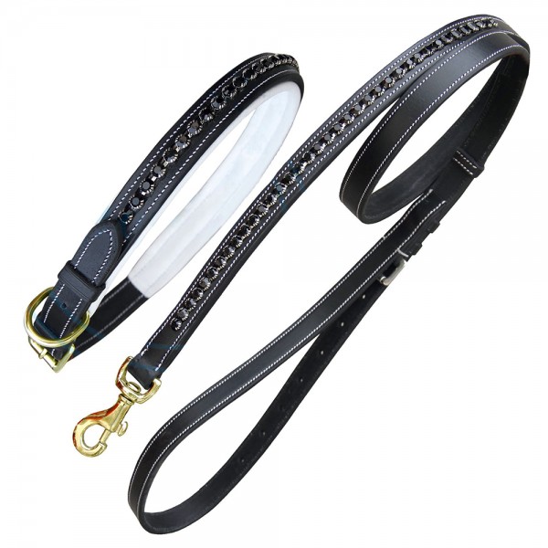 ExionPro Black Bling Dog Collar With Lead