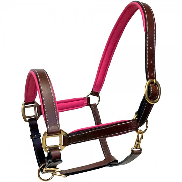 Brown Leather Halter with Color Padded Crown and Nose 