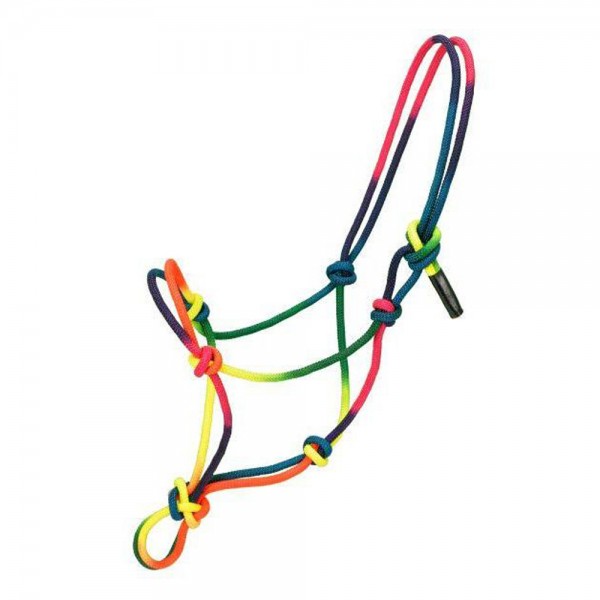 Multi-Colored Rope Halter