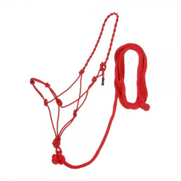 Poly Rope Halter With Knots & 14ft Lead
