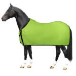 Horse Rugs