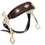 Hackamore Bit