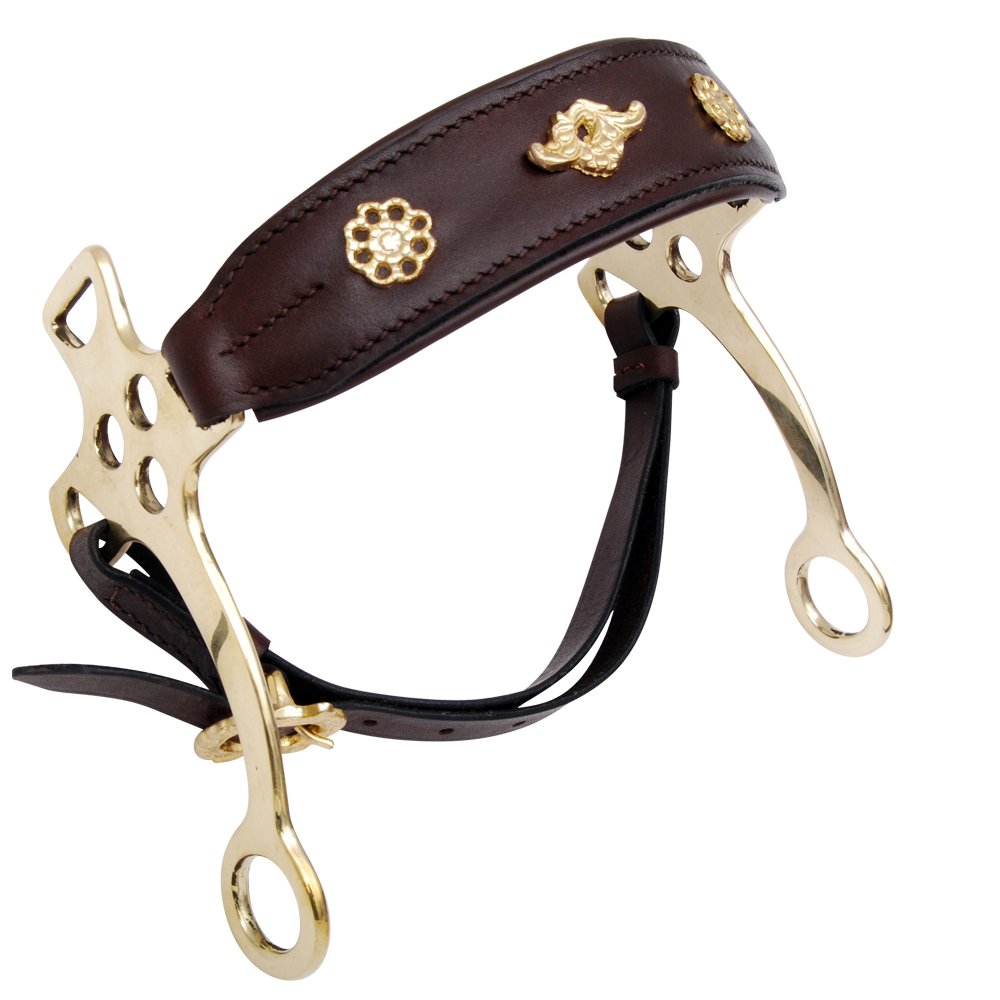 10 Hackamore Bit - Image 1
